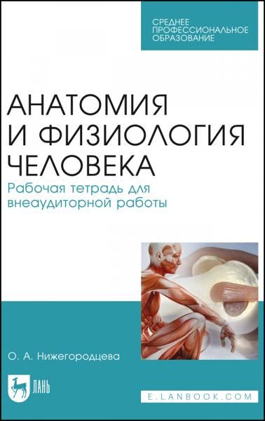 Анатомия и физиология человека. Рабочая тетрадь для внеаудиторной работы. Учебное пособие для СПО, 4-е изд., стер.