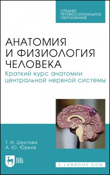 Анатомия и физиология человека. Краткий курс анатомии центральной нервной системы. Учебное пособие для СПО