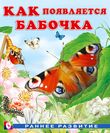 Как появляется бабочка