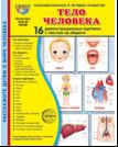 Тело человека. 16 демонстационных картинок с текстом на обороте