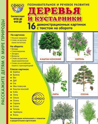 Деревья и кустарники. 16 демонстрационных картинок с текстом на обороте