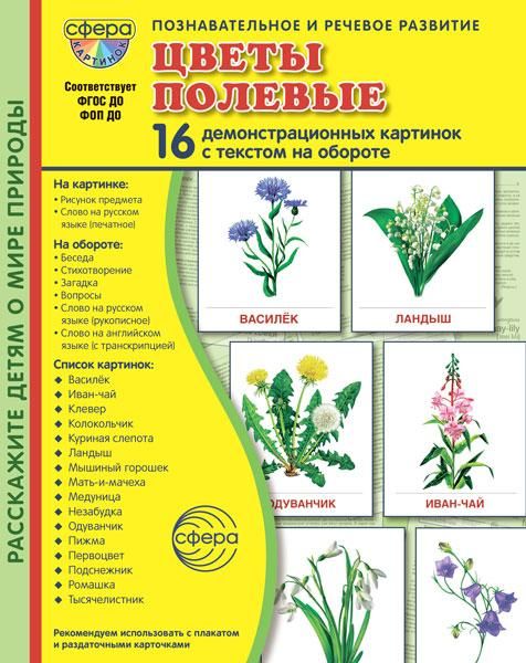 Цветы полевые. 16 демонстрационных картинок с текстом на обороте