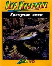 Гремучие змеи