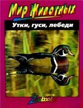 Утки, гуси, лебеди