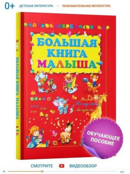 Большая книга малыша