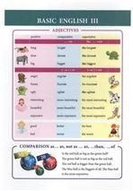 BASIC ENGLISH III