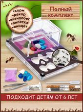 Давай подумаем. Комплект 4 Нейроразминки 1.Букашки. 2.Лесные звери. 3.На ферме. 4.Овощи. 5.Фрукты ягоды