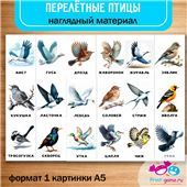 Закладка Перелётные птицы