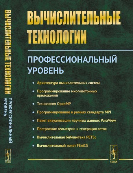 Вычислительные технологии: Профессиональный уровень