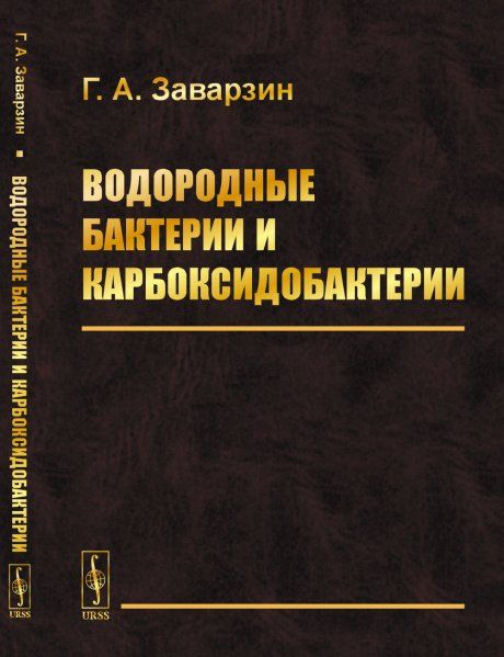 Водородные бактерии и карбоксидобактерии