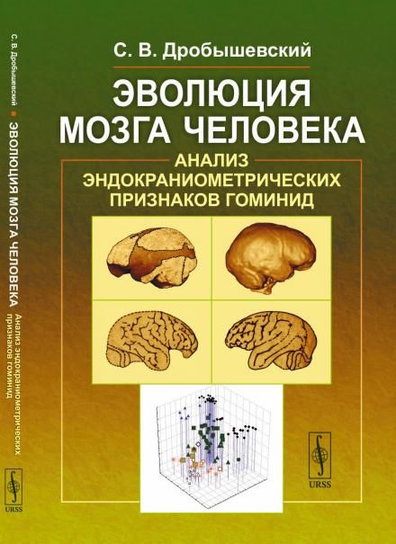 Эволюция мозга человека: Анализ эндокраниометрических признаков гоминид