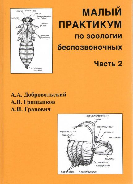 Добровольский А.А. Малый практикум по зоологии беспозвоночных. Часть 2