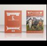 Книга Русские сказки и былины в картинах В.Васнецова 144 стр. тв. пер. русс. яз. 978-5-93051-271-7