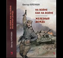 На войне как на войне. Железный дождь: повести
