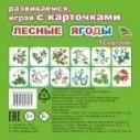 Лесные ягоды