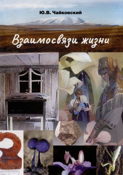Чайковский Ю.В. Взаимосвязи жизни. Миниэнциклопедия дополняет. Том 2