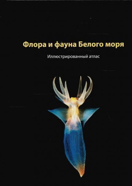 Флора и фауна Белого моря. 2-е изд.