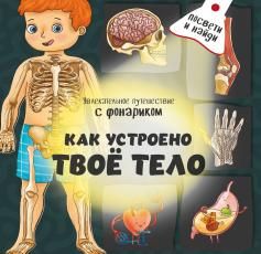 Книжка с фонариком Как устроено твое тело