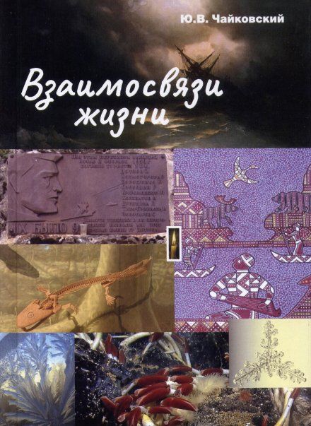 Чайковский Ю.В. Взаимосвязи жизни. Миниэнциклопедия дополняет. Том 1