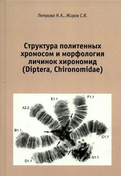 Петрова Н.А. Структура политенных хромосом и морфология личинок хирономид