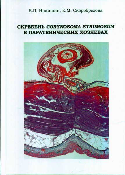 Никишин В.П. Скребень Corynosoma strumosum в паратенических хозяевах