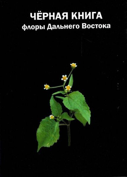 Виноградова Ю.К. Черная книга флоры Дальнего Востока