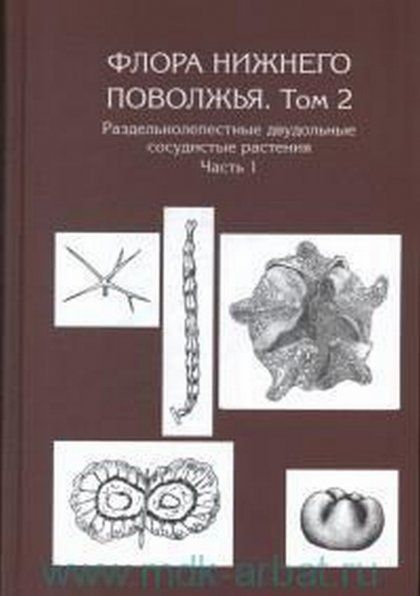 Флора Нижнего Поволжья. Том 2 в 2 ч.