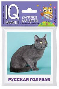Умный малыш. Породы кошек Набор карточек для детей.