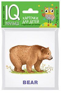 Умный малыш. ENGLISH. Зоопарк Набор карточек для детей.