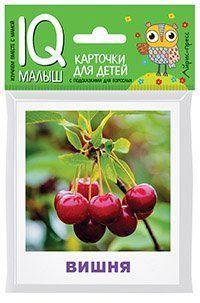 Умный малыш. Что растёт в саду Набор карточек для детей.
