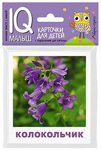 Умный малыш. Что растёт на клумбе Набор карточек для детей.