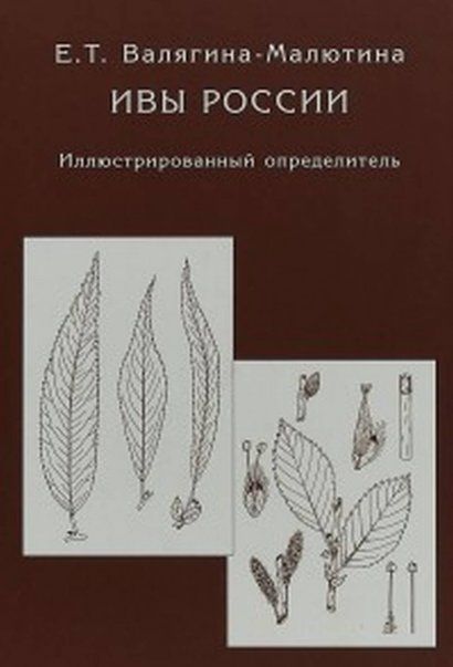 Валягина-Малютина Е.Т. Ивы России. Иллюстрированный определитель