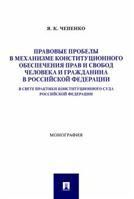 Правовые пробелы в механизме конституционного обеспечения прав и свобод человека и гражданина в РФ в свете практики Конституционного Суда Российской