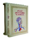 Атлас анатомии человека