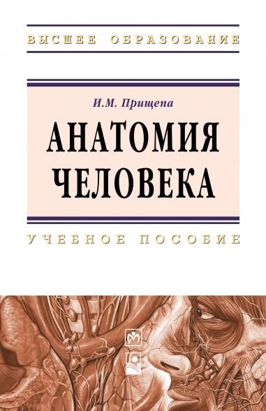 АНАТОМИЯ ЧЕЛОВЕКА, ИЗД.1