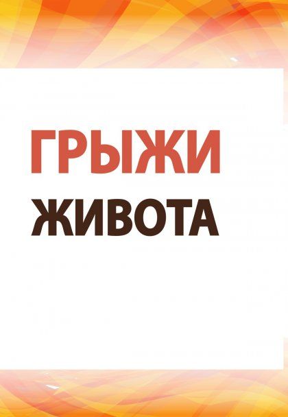 ГРЫЖИ ЖИВОТА: СОВРЕМЕННЫЕ АСПЕКТЫ ЭТИОЛОГИИ, ПАТОГЕНЕЗА, ДИАГНОСТИКИ И ЛЕЧЕНИЯ, ИЗД.1