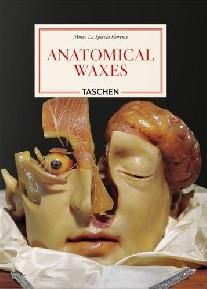 Anatomical Waxes. 45th Ed.