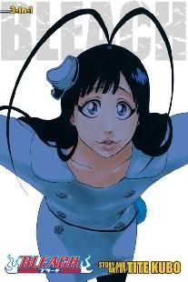 Bleach 3-In-1 Edition, Vol. 22: Includes Vols. 64, 65 66