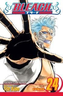 Bleach, Volume 24