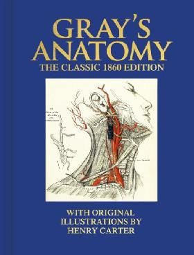 Grays Anatomy