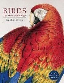 Birds: The Art of Ornithology Boxed Set