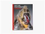 Why we photograph animals