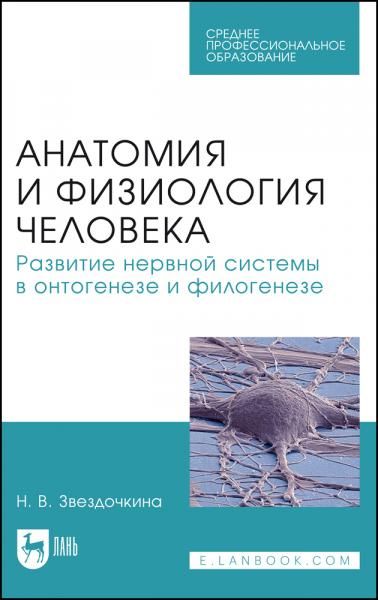Анатомия и физиология человека. Развитие нервной системы в онтогенезе и филогенезе. Учебное пособие для СПО