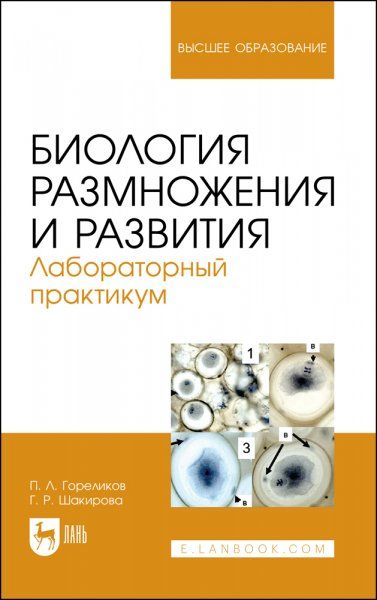 Биология размножения и развития. Лабораторный практикум. Учебно-методическое пособие для вузов, 2-е изд., стер.