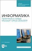 Информатика. Практикум в среде Microsoft Office 20162019. Учебное пособие для СПО, 4-е изд., стер.