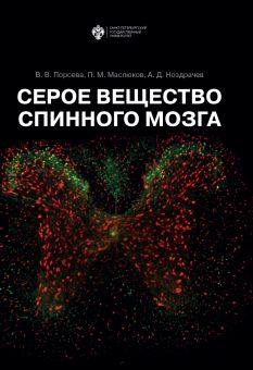 Серое вещество спинного мозга