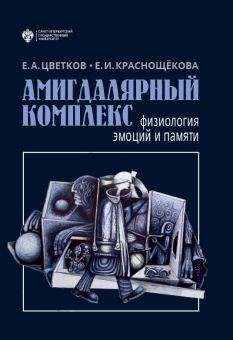 Амигдалярный комплекс: физиология эмоций и памяти