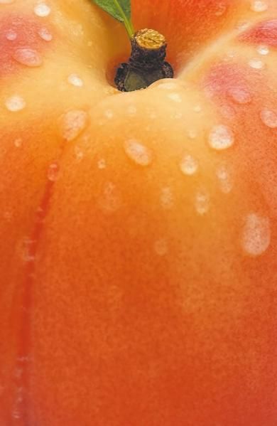 Блокнот с нежным персиком А5, мягкая обложка, 32 л.