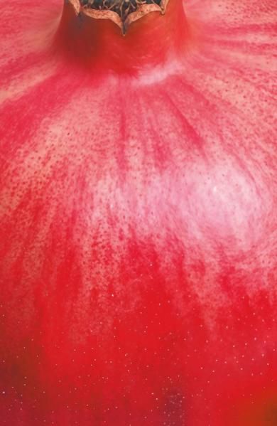 Блокнот с сочным гранатом А5, мягкая обложка, 32 л.