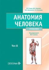 Анатомия человека : учебник : в 2 томах М. Р. Сапин, Д. Б. Никитюк, В. Н. Николенко, С. В. Клочкова под ред. М. Р. Сапина. Москва : ГЭОТАР-Медиа, 2026. Т. II. 464 с. : ил.